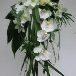 74-images23-150x150