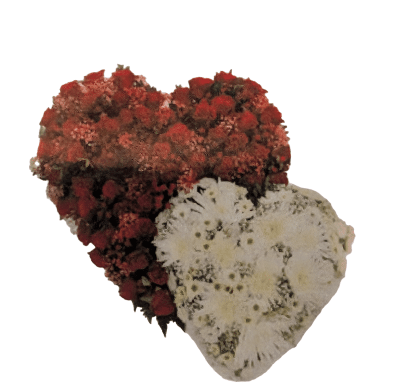 Dubbel hart