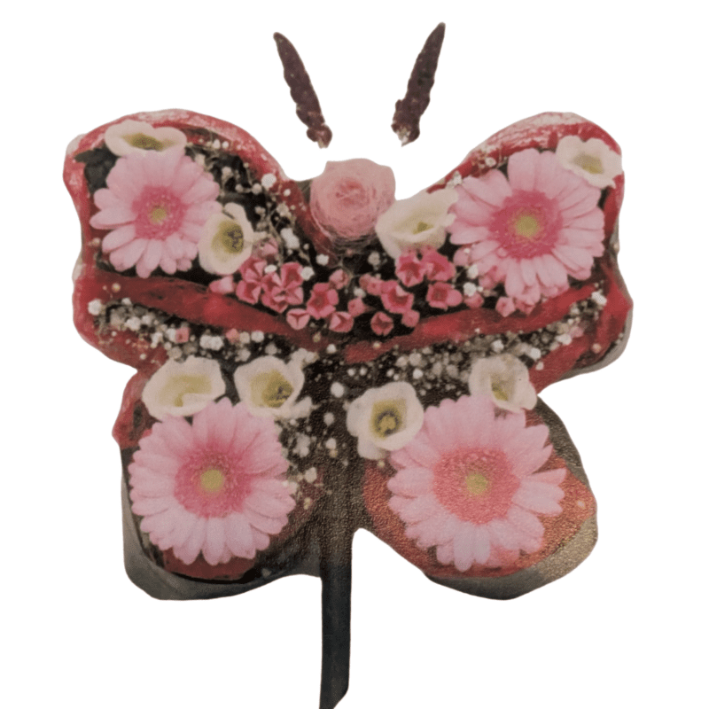 Mini Vlinder
